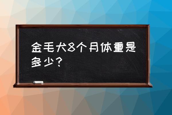 金毛8个月越来越瘦是怎么回事 金毛犬8个月体重是多少？