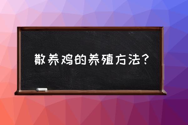 露天阳台冬天养鸡怎么保暖 散养鸡的养殖方法？