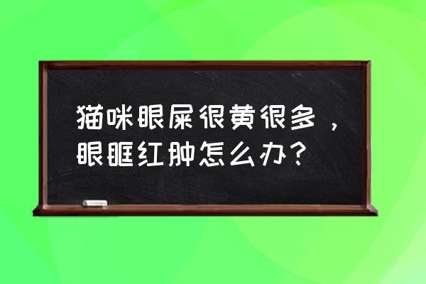 小猫一只眼睛有脓性眼屎怎么办 猫咪眼屎很黄很多，眼眶红肿怎么办？