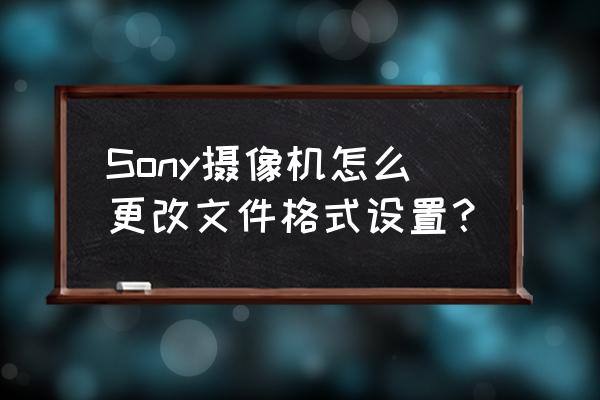 索尼a6300相机照片如何放大查看 Sony摄像机怎么更改文件格式设置？