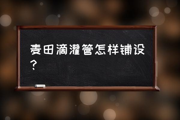 滴灌管安装注意什么 麦田滴灌管怎样铺设？