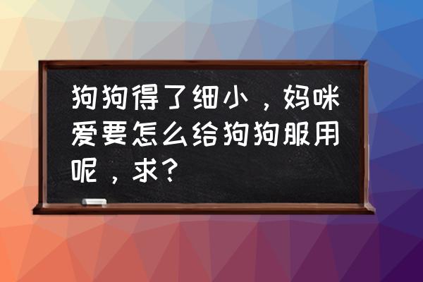 小狗吃什么食物最好 狗狗得了细小，妈咪爱要怎么给狗狗服用呢，求？