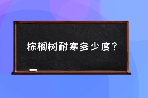 棕榈树室内要怎么养才好 棕榈树耐寒多少度？