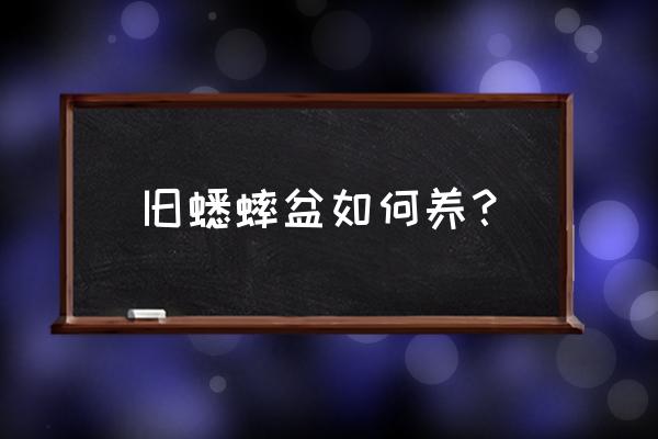 蟋蟀喂水的正确方法 旧蟋蟀盆如何养？