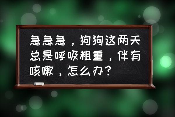 小狗一个劲咳嗽怎么回事 急急急，狗狗这两天总是呼吸粗重，伴有咳嗽，怎么办？