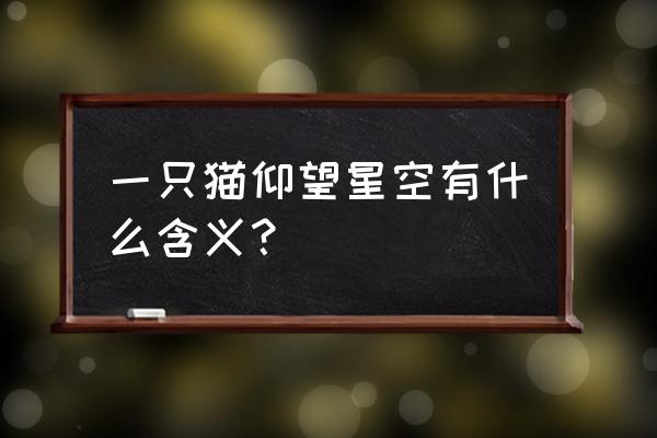 喜欢看星星的猫 一只猫仰望星空有什么含义？