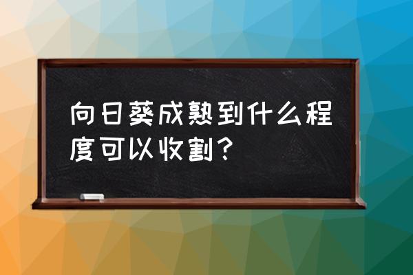 向日葵叶子耷拉了怎么让它立起来 向日葵成熟到什么程度可以收割？