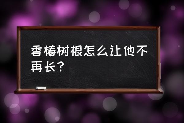 香椿树一半枯死的原因 香椿树根怎么让他不再长？