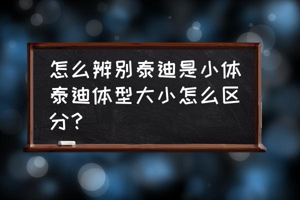 怎么判断狗狗的体型大小 怎么辨别泰迪是小体泰迪体型大小怎么区分？