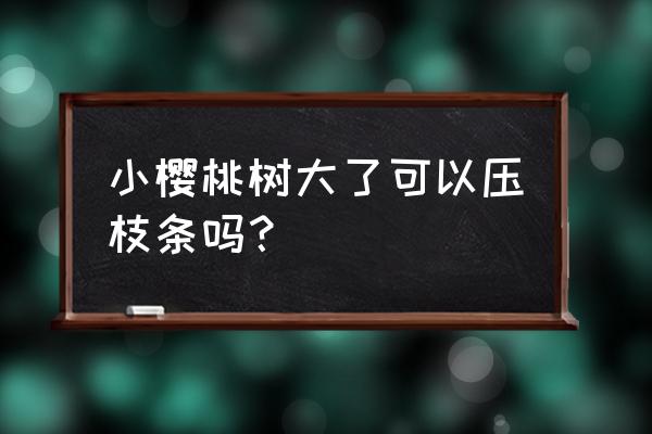 树木什么是高培土和低培土 小樱桃树大了可以压枝条吗？