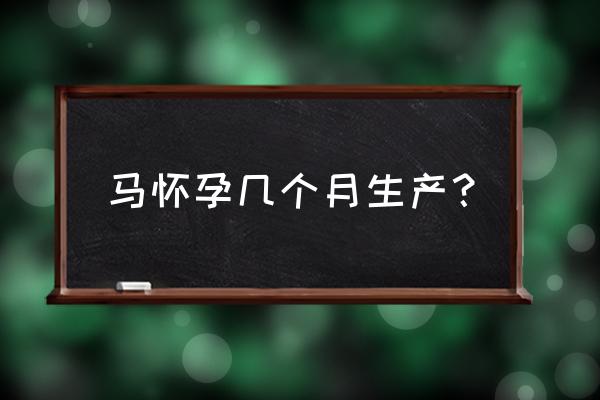 养一匹马需要办理什么手续 马怀孕几个月生产？