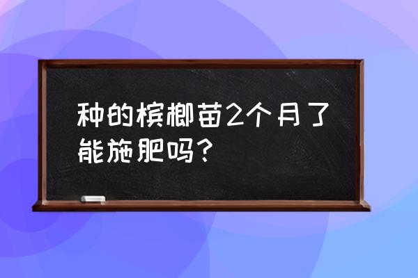 种植牙手术后注意事项和禁忌 种的槟榔苗2个月了能施肥吗？