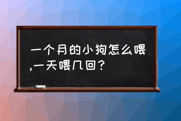 刚出生一周的狗狗怎么喂养 一个月的小狗怎么喂,一天喂几回？