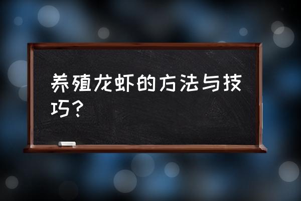 河里养龙虾的正确方法 养殖龙虾的方法与技巧？