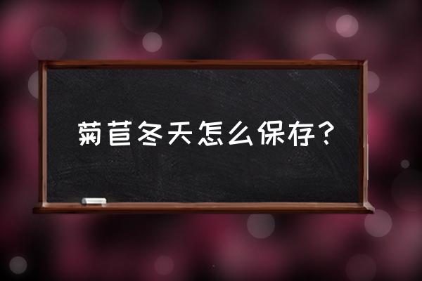 软化菊苣怎么做 菊苣冬天怎么保存？