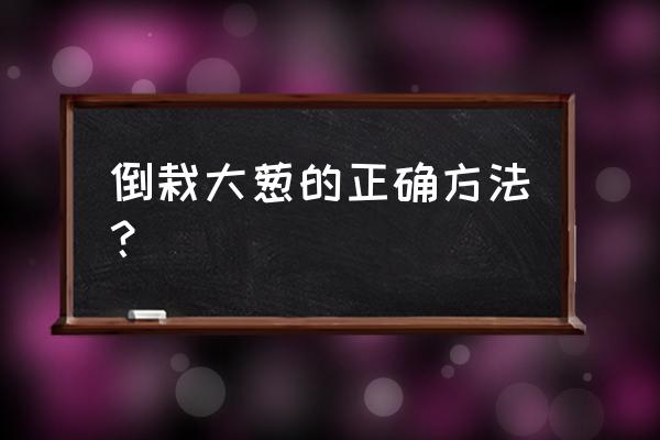 移栽大葱的最佳管理方法 倒栽大葱的正确方法？