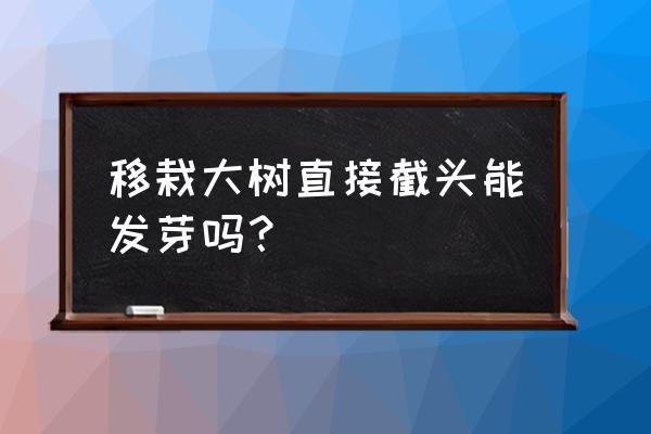 什么树的种子不入土壤也可以萌芽 移栽大树直接截头能发芽吗？