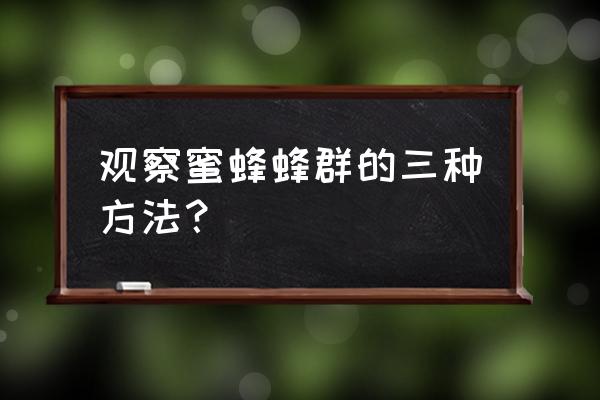 蜜蜂一般都会出现在哪里 观察蜜蜂蜂群的三种方法？