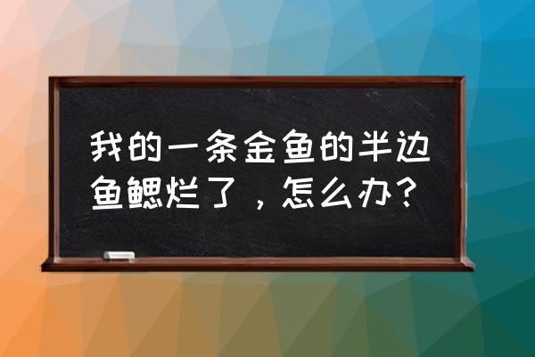 养殖鱼虱防治方法 我的一条金鱼的半边鱼鳃烂了，怎么办？