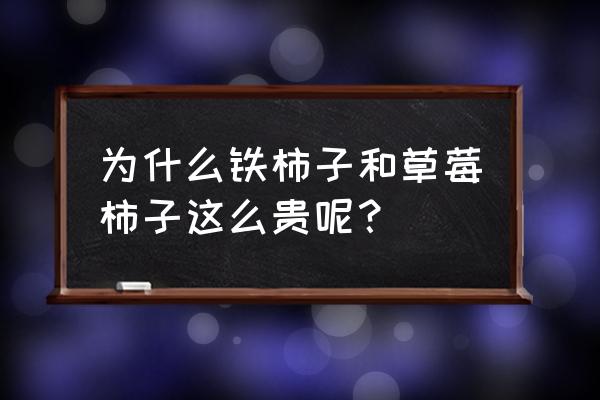 草莓柿子怎么炒好吃 为什么铁柿子和草莓柿子这么贵呢？