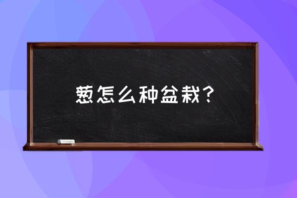 在家里栽葱怎么杀菌不烂根 葱怎么种盆栽？