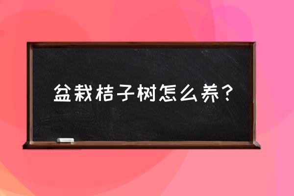 苹果树盆栽最好养殖方法 盆栽桔子树怎么养？