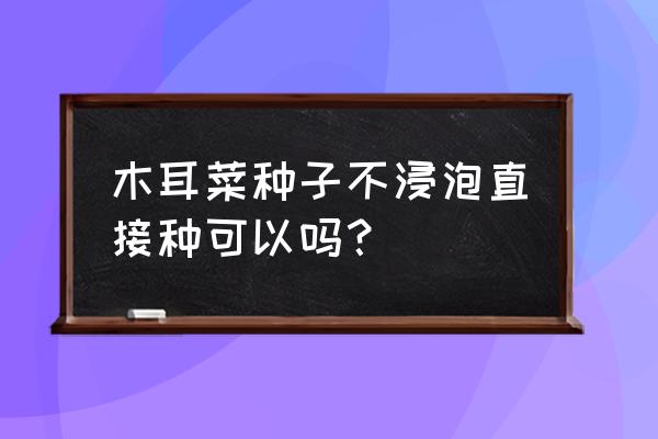 怎么种木耳菜长得快 木耳菜种子不浸泡直接种可以吗？