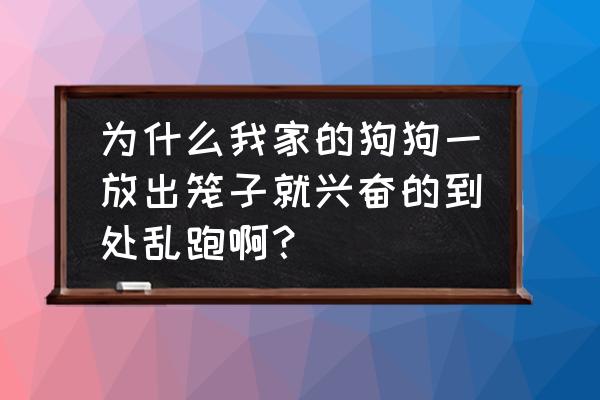 如何收起折叠小狗笼子 为什么我家的狗狗一放出笼子就兴奋的到处乱跑啊？