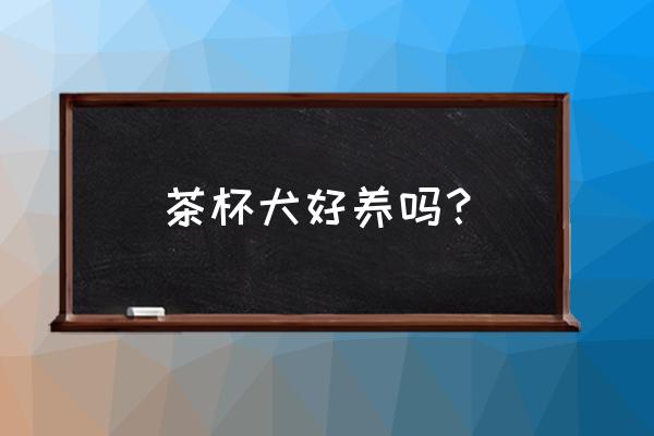 养茶杯狗需要准备什么 茶杯犬好养吗？