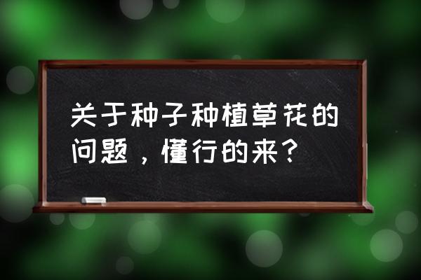 矢车菊播种时间和方法 关于种子种植草花的问题，懂行的来？