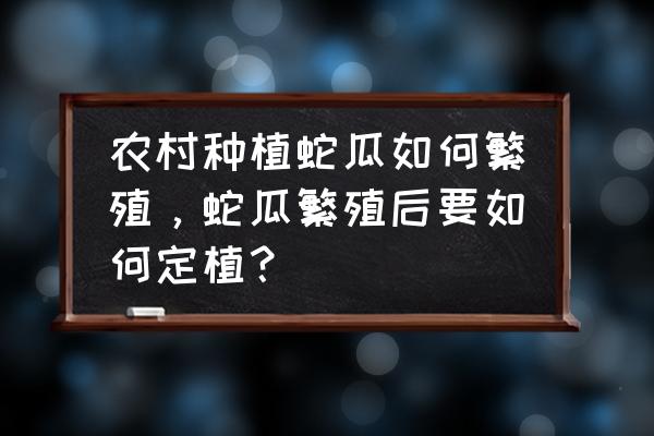 双攀缘结编法完整版 农村种植蛇瓜如何繁殖，蛇瓜繁殖后要如何定植？