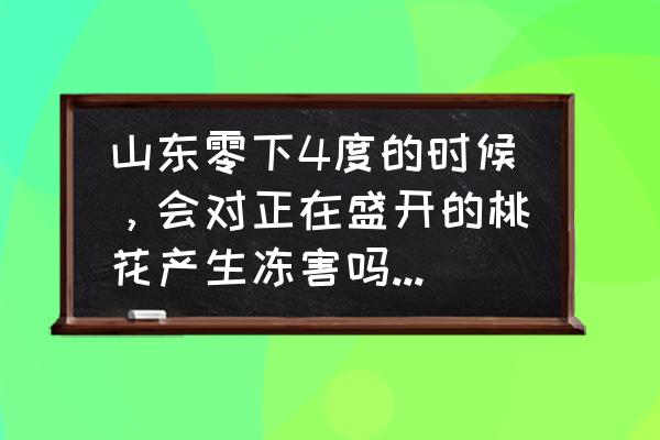 冬天车在外面如何防霜冻 山东零下4度的时候，会对正在盛开的桃花产生冻害吗？如果会，怎样补救？