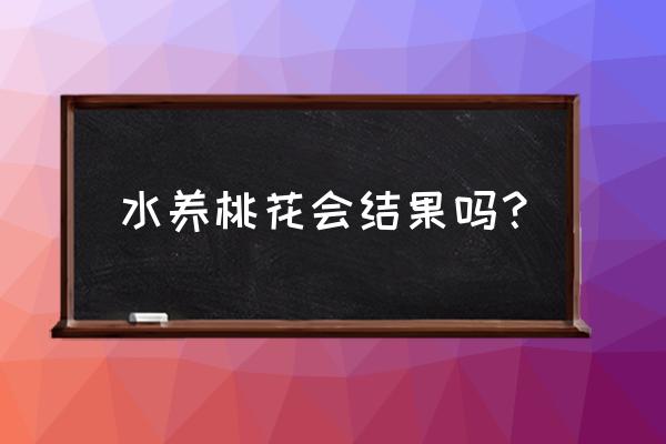 桃花泡水是花苞好还是开放的好 水养桃花会结果吗？