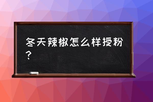 辣椒是自花授粉还是异花授粉 冬天辣椒怎么样授粉？