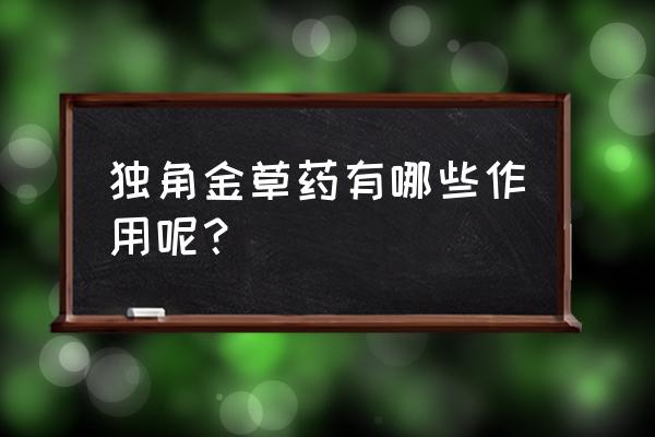 金藻的危害及处理方法 独角金草药有哪些作用呢？