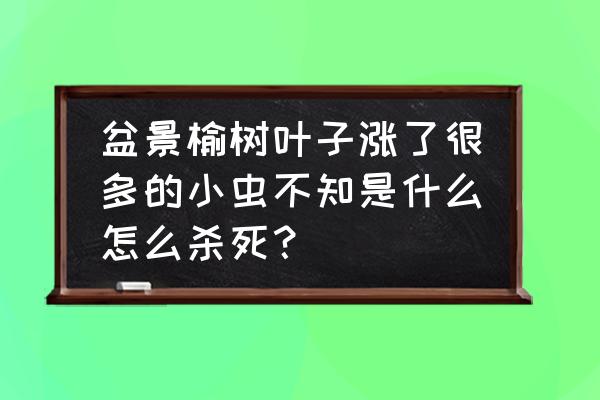 花椒种子用水泡做盆景 盆景榆树叶子涨了很多的小虫不知是什么怎么杀死？