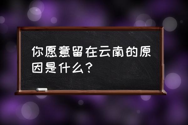 去云南昆明必须玩的地方推荐理由 你愿意留在云南的原因是什么？