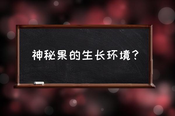 神秘果阳台种植方法 神秘果的生长环境？