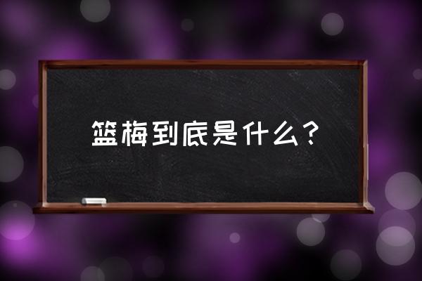 蓝莓约会app怎么样 篮梅到底是什么？