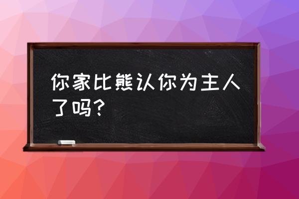 怎么知道狗认你当主人 你家比熊认你为主人了吗？