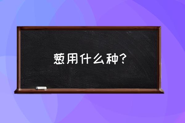 栽培大葱用什么肥料好 葱用什么种？