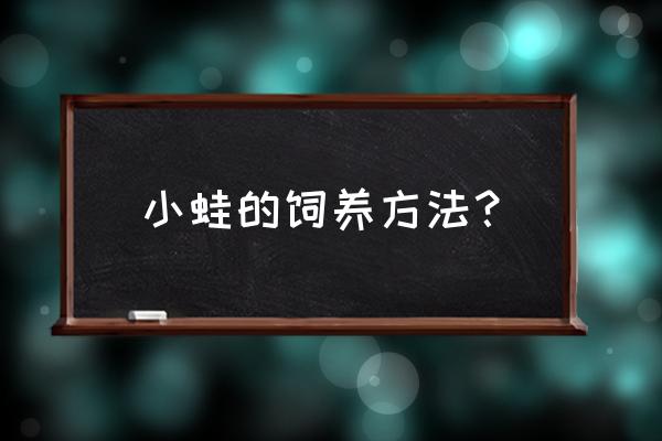 青蛙在家养吃什么食物 小蛙的饲养方法？