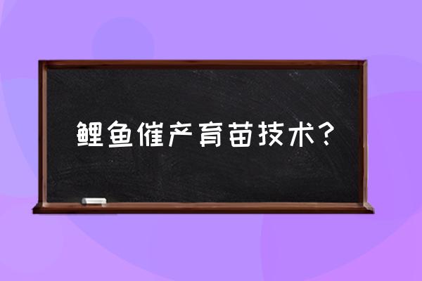 鲤鱼怎么育苗最好 鲤鱼催产育苗技术？