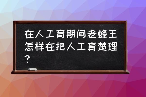 蜜蜂蜂王怎么人工育养 在人工育期间老蜂王怎样在把人工育楚理？