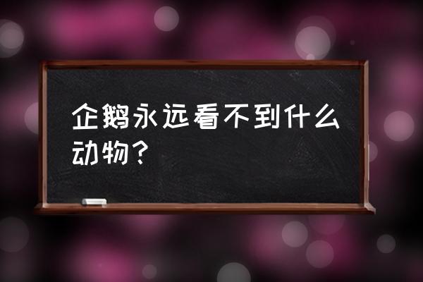 北极熊为啥吃不到企鹅 企鹅永远看不到什么动物？