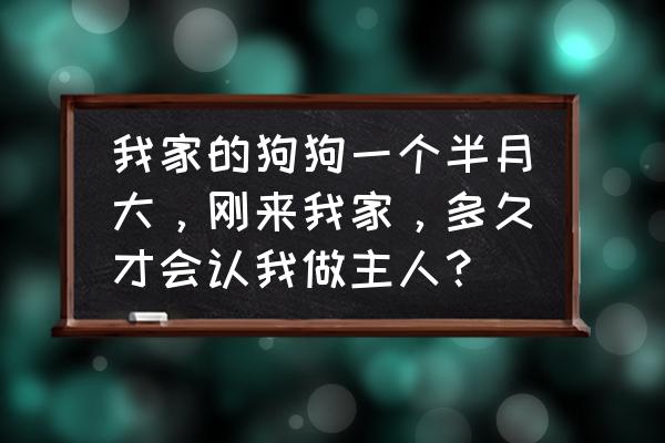 如何训练狗狗自己找家 我家的狗狗一个半月大，刚来我家，多久才会认我做主人？