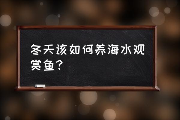 新手养海水观赏鱼入门 冬天该如何养海水观赏鱼？