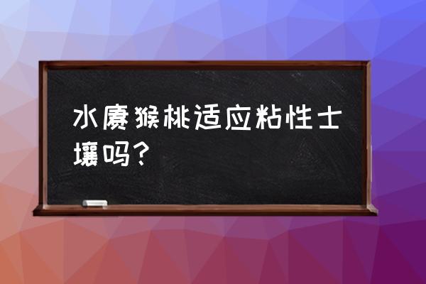 安卓7.0移植老手机教程 水猕猴桃适应粘性士壤吗？