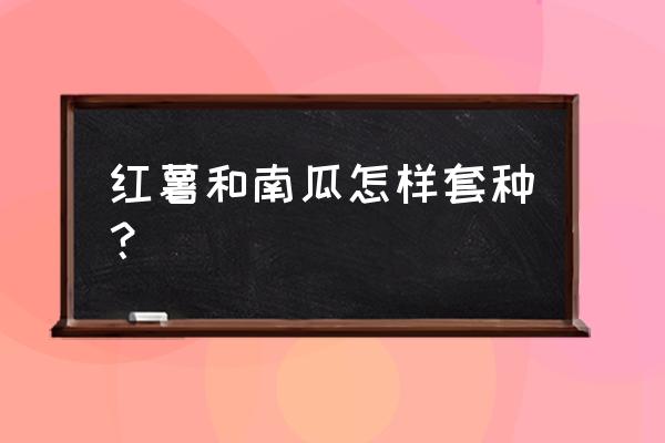 红薯和什么套种最高产 红薯和南瓜怎样套种？