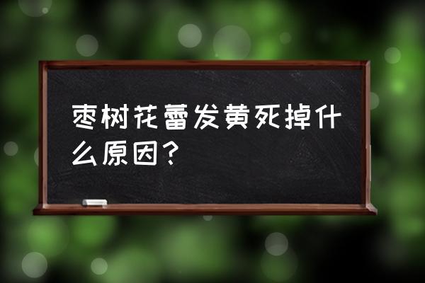 大枣幼果膨大期用什么肥 枣树花蕾发黄死掉什么原因？